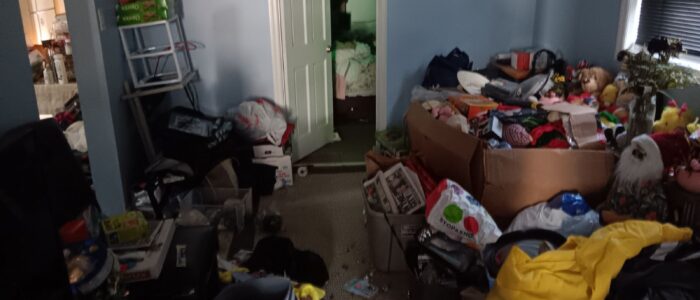 Before Room Clean out